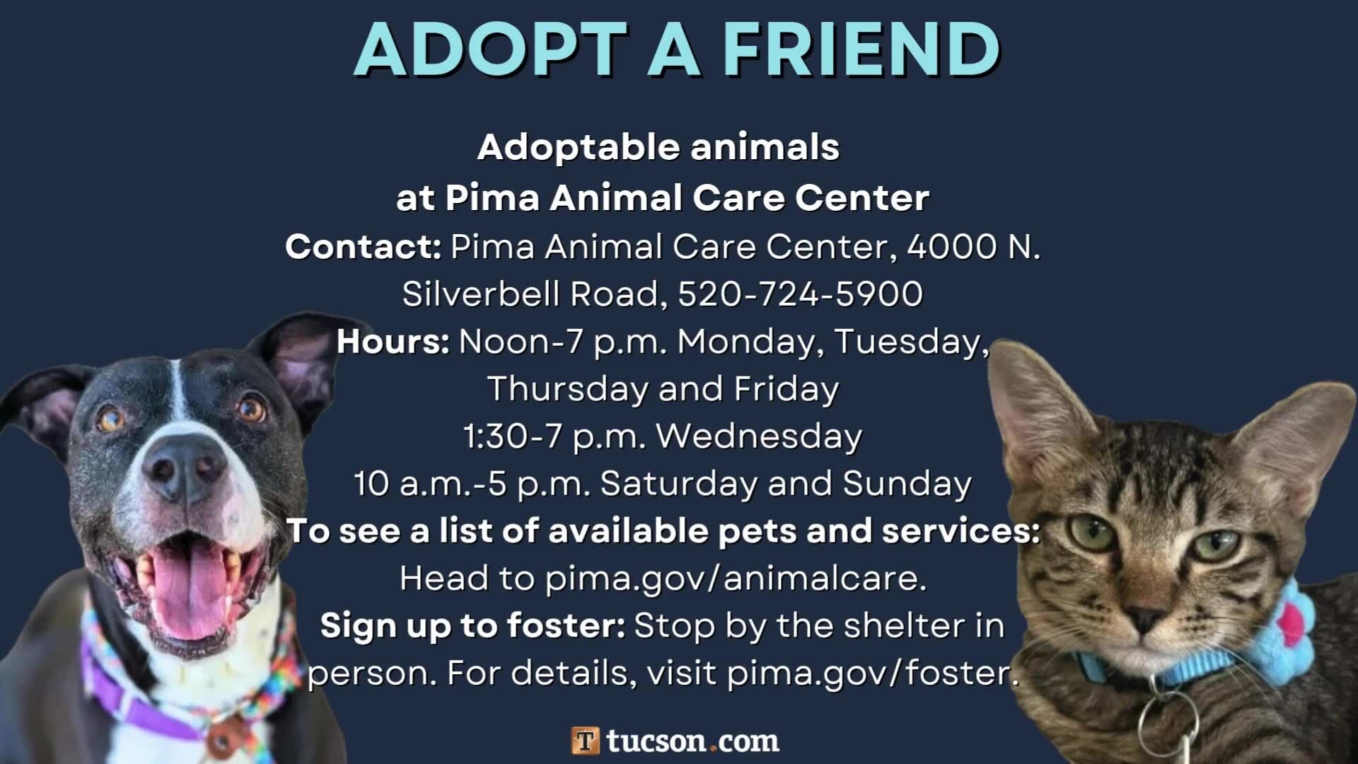 Adopt a friend: Local pets up for adoption for October 26